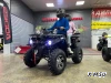 Квадроцикл PROMAX RENEGADE 300 LONG WINCH PRO (2025)