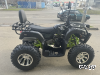 Квадроцикл PROMAX ATV 250 MAX (2025)