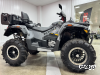 Квадроцикл STELS ATV GUEPARD 1000 PE (TROPHY PRO) 2.0