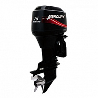 Запчасти для 2-х тактного ПЛМ MERCURY 75 Серийный номер от 0T980000 до 0T999999