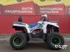 Квадроцикл PROMAX RENEGADE 300 LUX