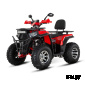 Квадроцикл WHITE SIBERIA BARS 200CC PRO