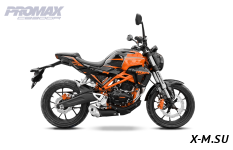 Мотоцикл PROMAX CB300RL (4V, 6G)