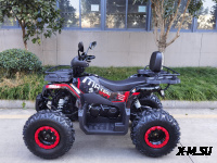 Квадроцикл GBM MAVERICK 300 (2024)