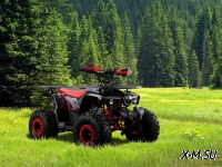 Квадроцикл PROMAX WILD 190 PRO-LINE