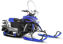 Запчасти для снегохода IRBIS Dingo T150/T170/T200 (2018 г.в.)