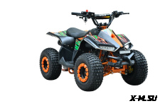 Квадроцикл WELS TUKAH 110