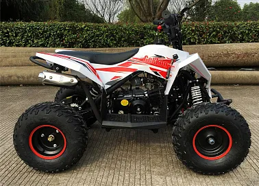 Детский квадроцикл бензиновый MOTAX GEKKON 90 cc 1+1 (Реверс)