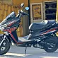 МаксиСкутер PROMAX MAGNUS 200(49)